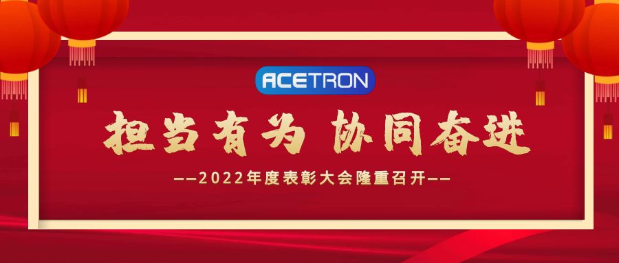 擔(dān)當(dāng)有為 協(xié)同奮進(jìn)——公司召開(kāi)2022年度表彰大會(huì)